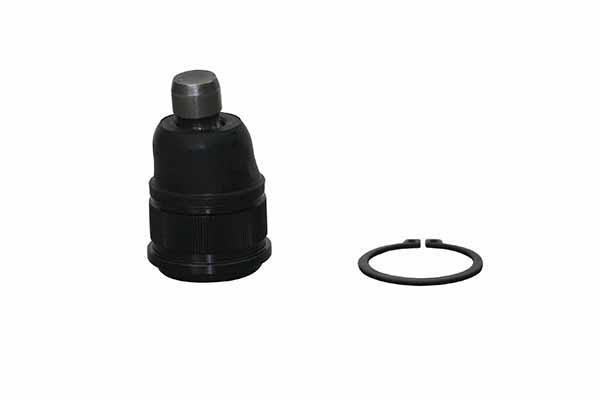 Rotule de suspension (Rotule de pivot) AISIN JBJKI-008